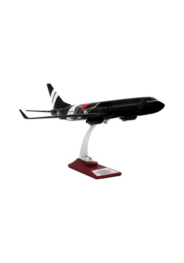 Zekupp Boeing 737-800 1/100 Ölçek Siyah Kartal Tasarımlı Maket Uçak