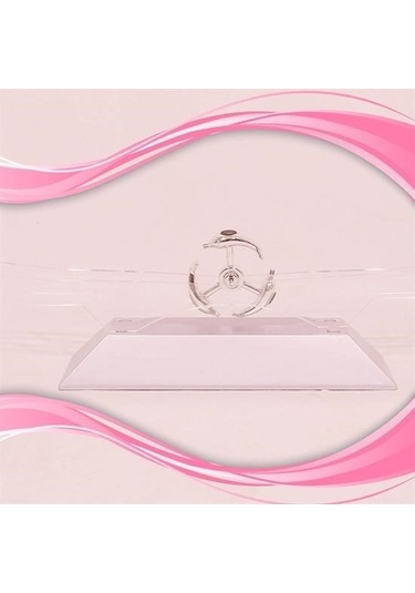 Zmc Bilişim Dekoratif Masa Üstü Obje Manyetik Kinetik Orbital Dönen Yunuslar