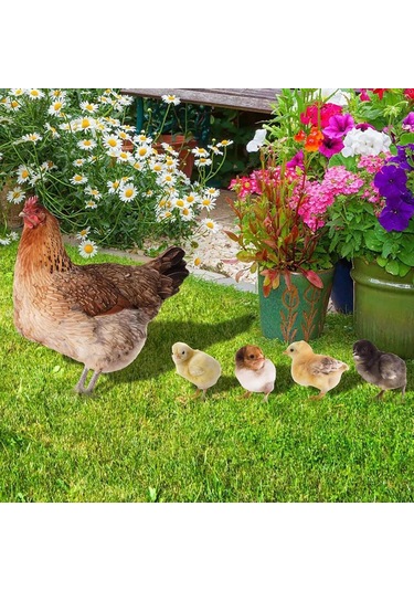 Suofeng Bahçe Dekorasyonu Piliç Şekilli Akrilik Toprak Takımı - Dış Mekan Bahçe Zemin Süs Yklu076