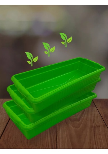 Prohoz Fide Ve Çiçekler İçin Tepsi 207483311