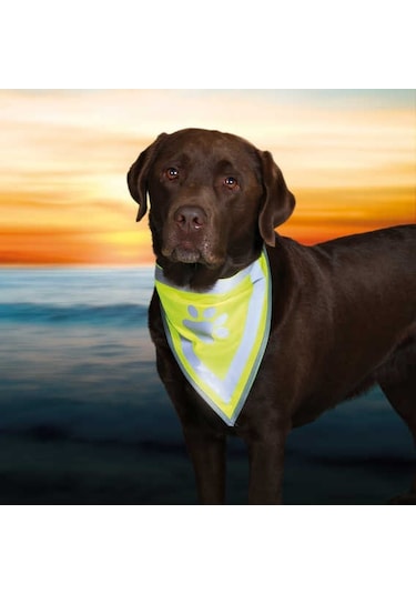 Trixie Köpek Bandanası L-XL 42-60 CM Çok Renkli