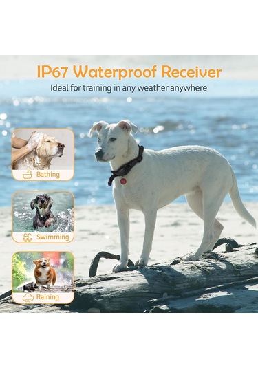 Uu0135 Köpek Kabuğu Tasması Şarj Edilebilir Elektrikli Eğitim Siyah