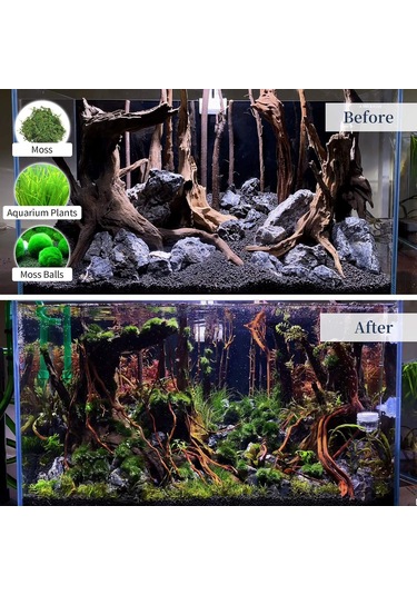 Neevoyu 25-30cm Doğal Akarsu Odunu, Akvaryum Dekorasyonu, Sürekli Kullanım, Yaratıcı Peyzaj, Hayvan Barınma, Ev Bahçe Dekoru Tek Parça