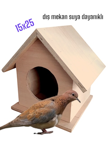 Ahşap Kumru Güvercin Kuş Yuvası Kuş Evi Folluk 15x25