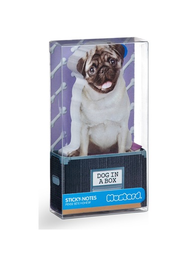 Mustard Dog İn A Box Yapışkanlık Not Kağıdı