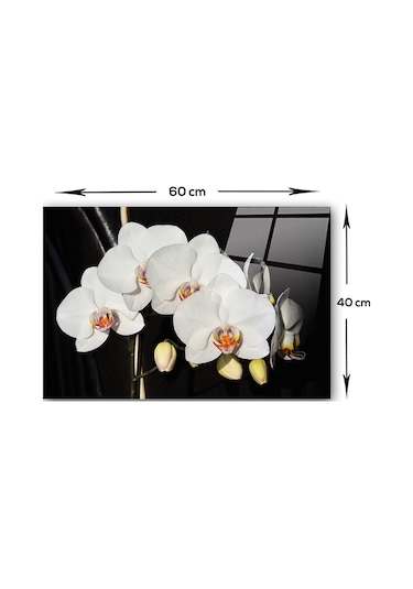 Orkideli Mutfak | Decorita Ocak Arkası Koruyucu | 40cm x 60cm
