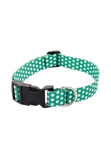 Pettagart Puantiyeli Yeşil Küçük Irk Köpek Boyun Tasması M Boyun 25 Cm X 40 Cm / 2 Cm Çok Renkli