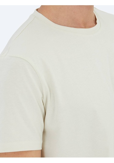 Taş Düz Bisiklet Yaka %100 Pamuk T-shirt Taş