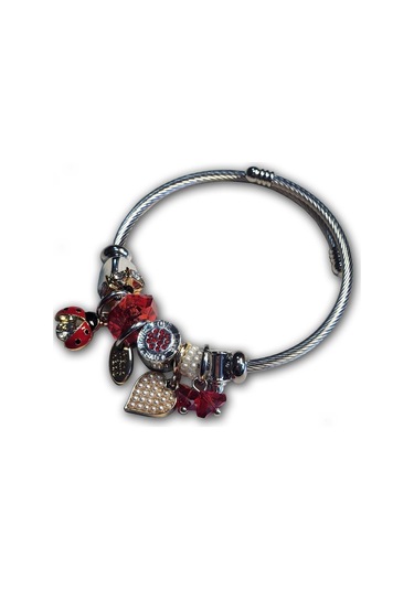 Uzel Çelik Gümüş Silver Model Inci Kalpli, Uğur Böceği Charmlı Çelik Bileklik Kırmızı