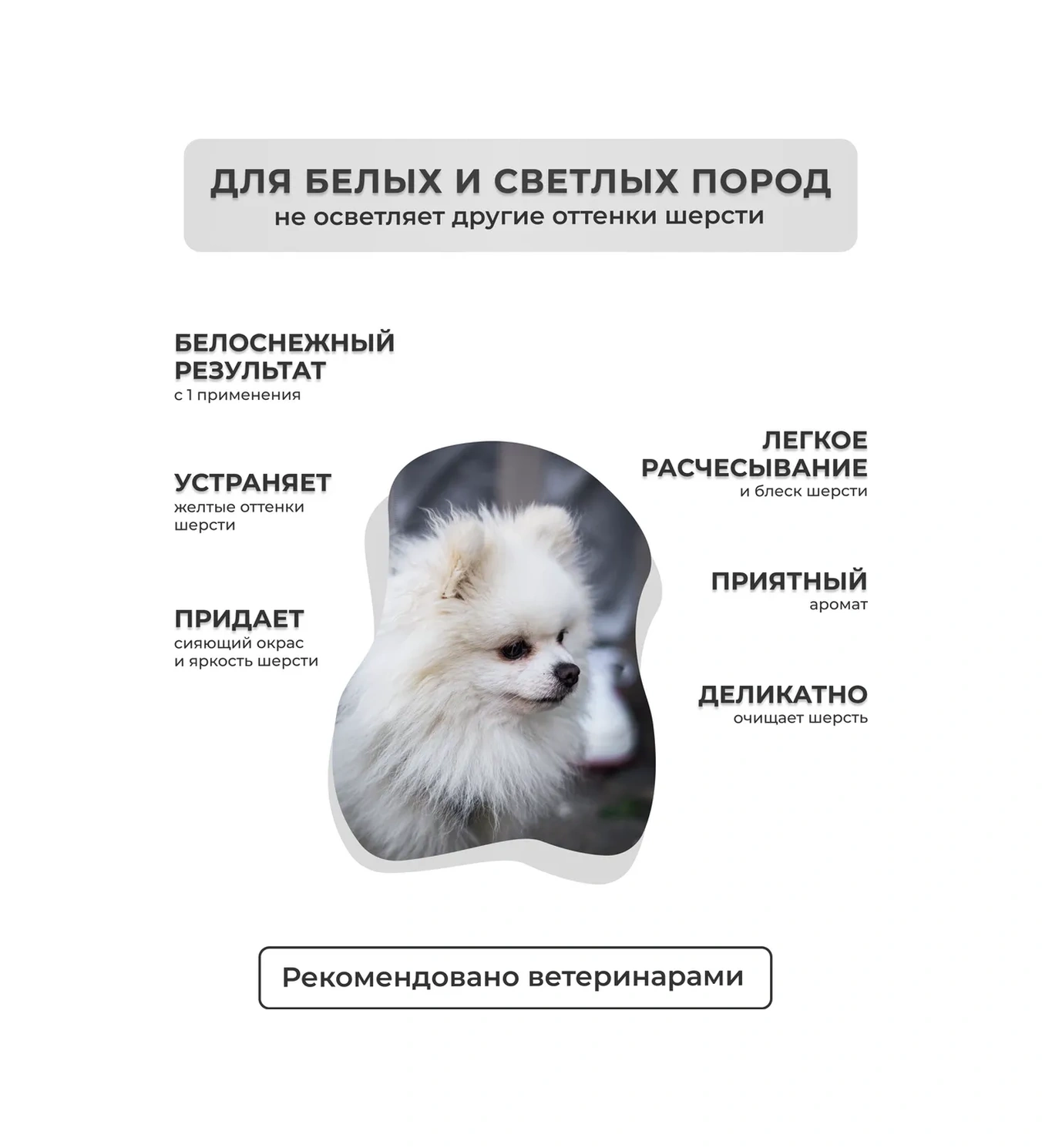 Dogıgo Beyaz Köpekler İçin Sararma Karşıtı Profesyonel Şampuan 223106027