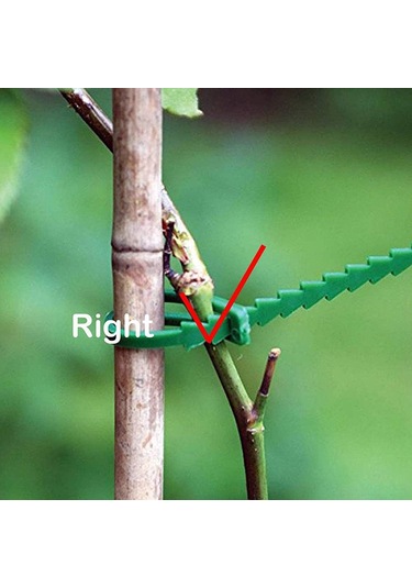 Gajeena 17cm Ayarabilir Bitki Bağlantı Bandı - Plastik, Yeniden Kullanılabilir, 50 Adet - Bahçe Ve Seralar İçin Bitki Sabitleme Kordeli