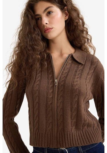 Defacto Regular Fit Polo Yaka Fermuarlı Triko Hırka A3331ax25wnbn319 Kahve