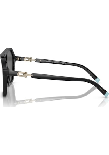 TIFFANY&CO KADIN GÜNEŞ GÖZLÜĞÜ 4198 8001S4 5817 140