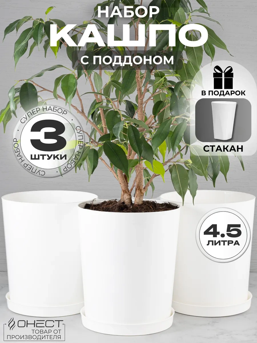 Onest Çiçek Saksısı Seti 3 Parça 306575754