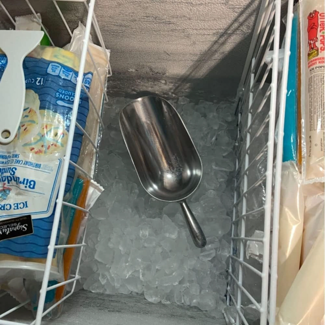 Skycity Alüminyum Metal Buz Kasa Ve Mutfak Kollu Kasa - Ergonomik Tutamaklı, Pas Koruyucu Ve Dayanıklı - Kahve Fasulyesi, Şeker, Un, Patlamış Mısır İçin Uygun