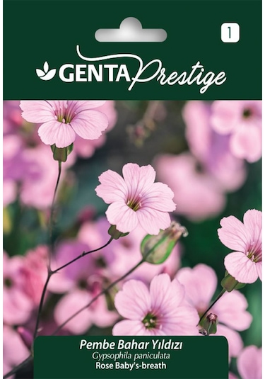Genta - Pembe Bahar Yıldızı Çiçeği Tohumu