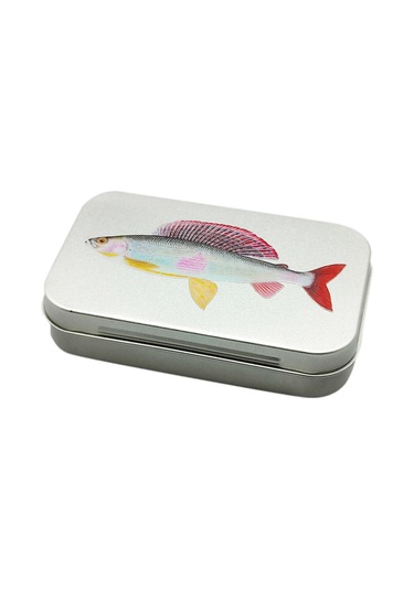 Dolıty Sinekler Depolama Kutusu Sınıflandırılmış Küçük