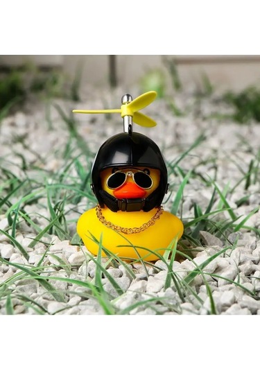 Simalend Arabanın İçinde Kasklı Ve Gözlükli Ördek 165493337