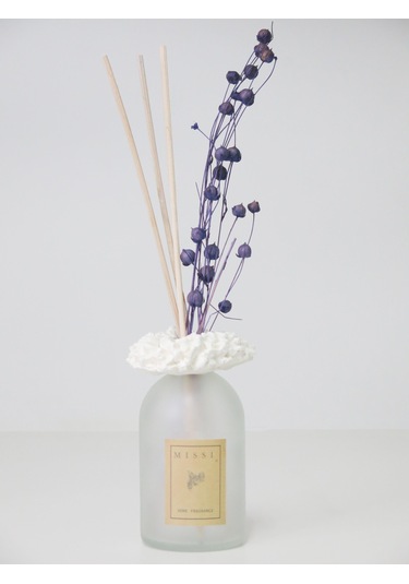 Missi 100 Cc Ruff Yaka Buzlu Şişe Manolya Oda Kokusu