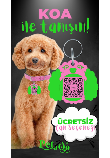 Petjoo 14.Koa Yeşil-Pembe Qr'lı Köpek Künyesi