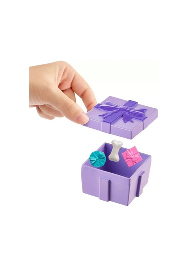 Jcc33 Polly Pocket Pollynin Doğum Günü Partisi Paketi Standart