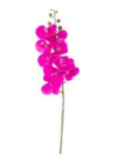 Yapay Çiçek Beyaz Salkım Wisterya 90 Cm. Çok Renkli