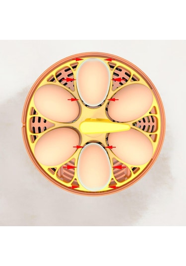 Suntek Mini Yumurta Kuluçka Makinesi Otomatik Dönen Ördek Kuş