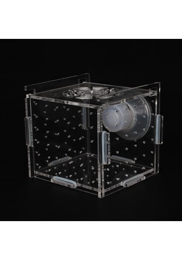 Magideal Suntek Akvaryum Balık Yetiştirici Kutu