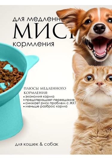 Vektorı Kedi Kabı 391740898