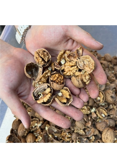 Kadıoğlu Ckk300 Sıkmatik Sistem 3 Yollu Ceviz Kırma Makinesi