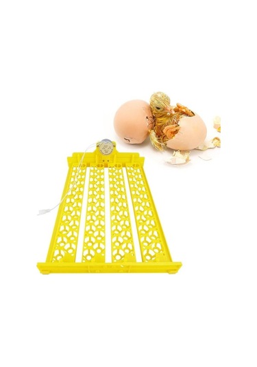 Pazly Yumurta Suntek Mini Makinesi Kümes Kuluçka Hayvanları, 88 Dw