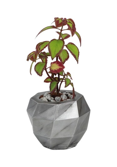 Çiçek Saksısı Dekoratif Kaktüs Saksı 1 Adet Dönen Poly Model - Gümüş Eskitme