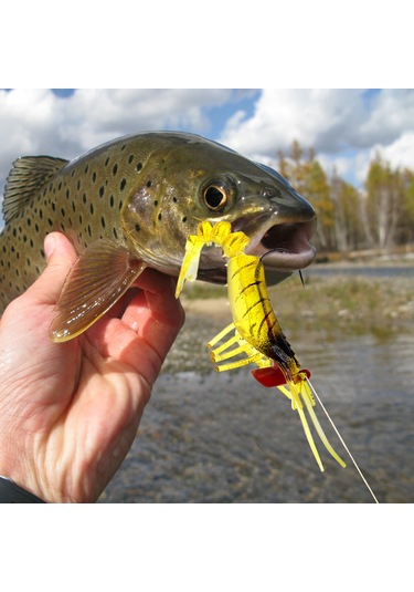 Reedark Yumuşak Karides Taklidi Işıklı Yapay Yem - 11,5cm Pvc Olta Lürü