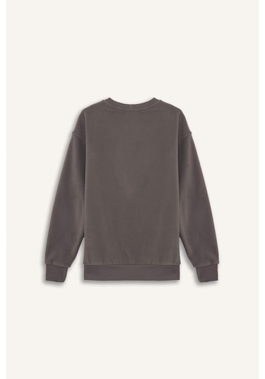Defacto Relax Fit Bisiklet Yaka Polar Sweatshirt F3685ax25wngr308 Gri-gr308 Defacto Relax Fit Bisiklet Yaka Polar Sweatshirt F3685ax25wngr308 Gri-gr308