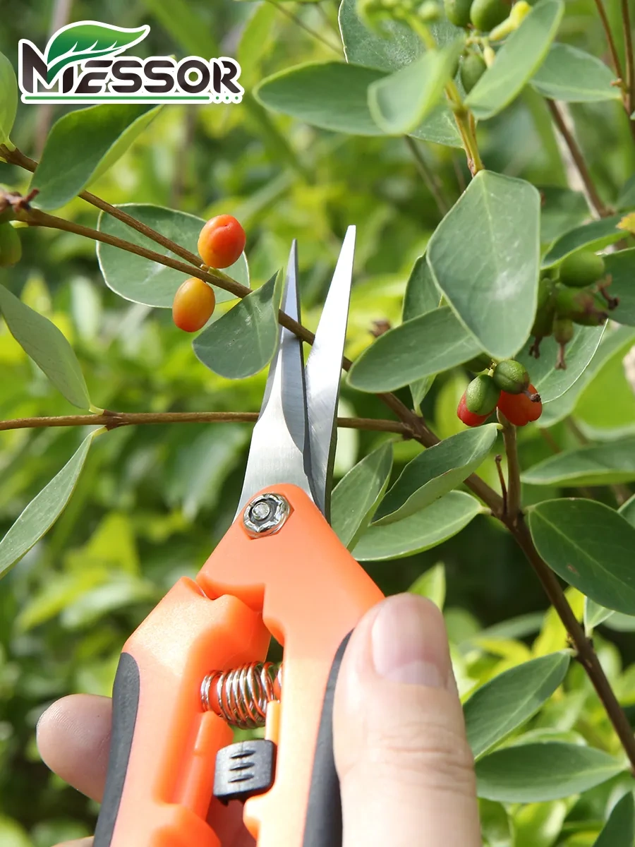 Messor Bahçe Makasları Çok Amaçlı Set 363042457