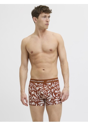 Erkek Desenli 3'lü Boxer Paketi - Corals - 12277701 Desert Sage