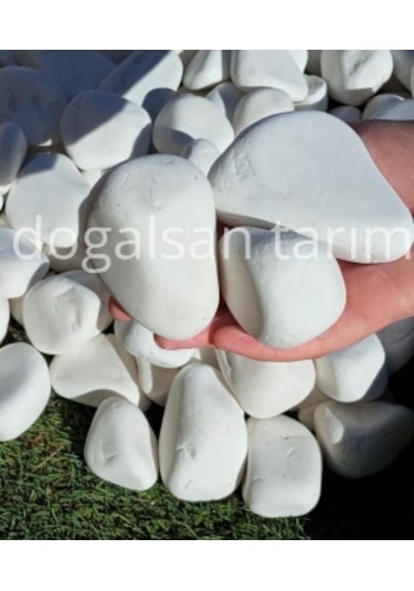 Beyaz Dolomit Taş 10 Kg 6-10 cm Dere Taşı Çakıl Taşı