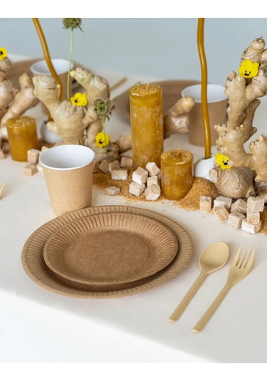 Ajvıen Kompanı Kraft Kâğıt Tek Kullanımlık Tabaklar 23 Cm 100 Adet 224341096 Bej