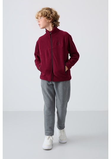 Tommy Life Erguvan Kalın Yumuşak Dokulu Standart Fit Nakışlı Polar Erkek Çocuk Sweatshirt - 11223 Mor