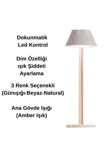 Forlife Dokunmatik Şarjlı Dekoratif Mellea Led Masa Lambası