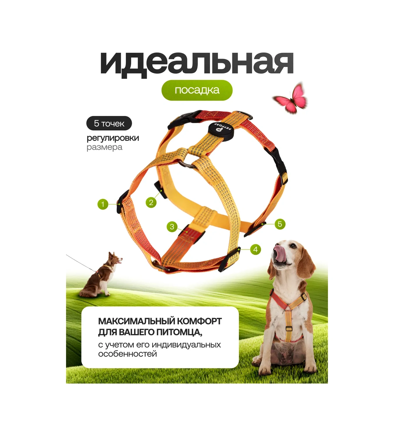 Petfort Köpekler İçin Anatomik Tasma 431183339