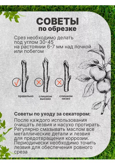 Serviskom Bahçe Budama Makası El Tipi 218472146