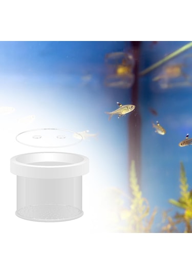 Suntek Yüzen Akvaryum Damızlık Kutusu Akrilik 15cmx12cm