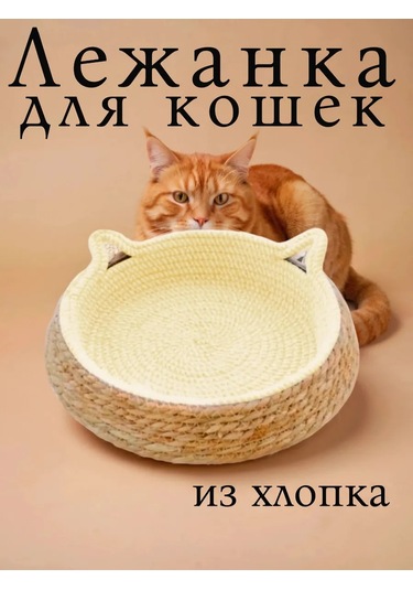 Vektorı Kediler Ve Köpekler İçin Tırmalama Tahtalı Yatak 463888975