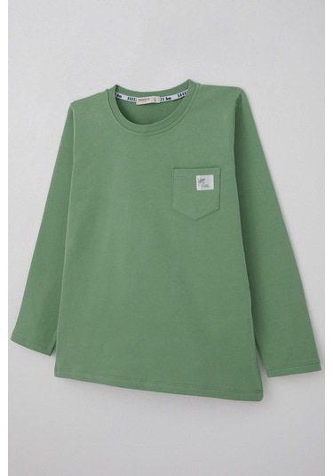 Breeze Erkek Çocuk Uzun Kollu Tişört Cool Yazı Armalı Cepli 4-8 Yaş, Mint Yeşili Mint Yeşili