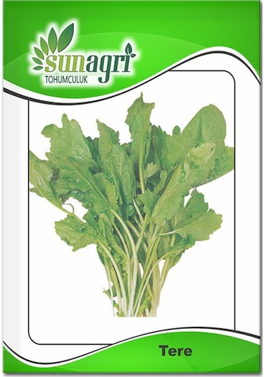 Izmir Tere Tohumu