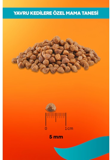 Tavuklu Yavru Kedi Maması - Büyüme 2 Kg