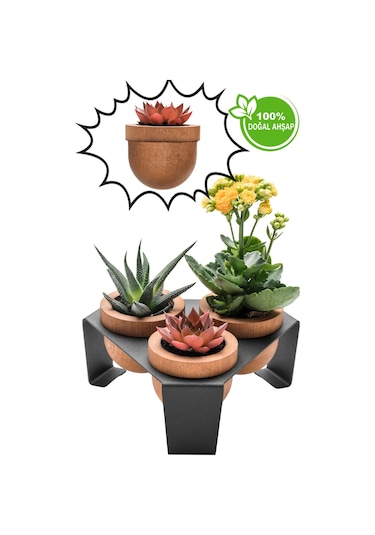 Halohope Metal Stantlı 3'lü Skulent Saksısı Siyah Saksılık
