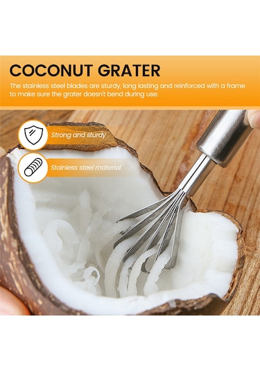 Balık Pulları Planyası Paslanmaz Çelik Hindistan Cevizi Planyası Çekirdek Çıkarıcı Gümüş