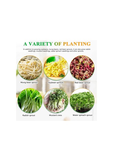 Suntek Fasulye Filizi Makine Soya Fasulyesi Maş Kırmızı Için